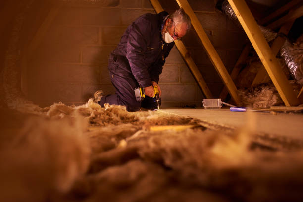 Best Insulation Maintenance and Repair in San Jose, CA