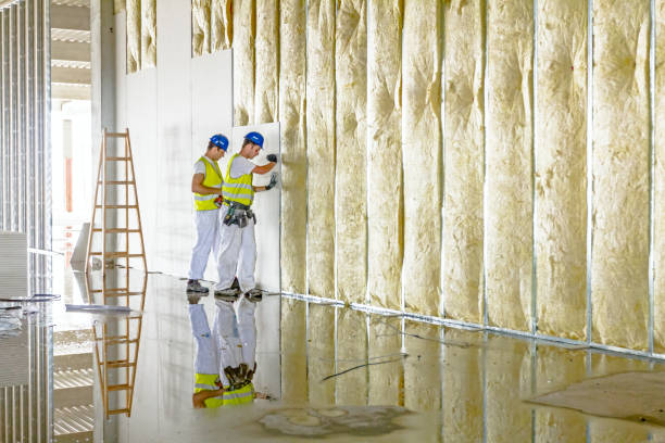 Types of Insulation We Offer in San Jose, CA